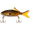 baby carp