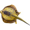 trnucha 14404