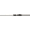 sportex invictus carp 02