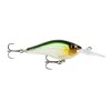 Rapala Fat Shad 5
