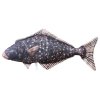gaby the halibut medium