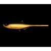 Screenshot 2025 06 05 at 09 33 11 LIBRA LURES Bleak Slug Tail 8 2 21cm – Gold 009 Oukrofishing
