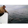 Mikina FISHMACHINE Buddy of captain (Velikost L)