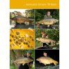 TB Baits Vyvážené Boilie Balanced + Atraktor Corn 100 g (Varianta 20 mm)