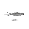 Screenshot 2023 12 15 at 15 09 43 LIBRA LURES Turbo Worm 56 – 8ks bal