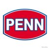 00003 Moulinet spinning Penn Rival DX Longcast 8000
