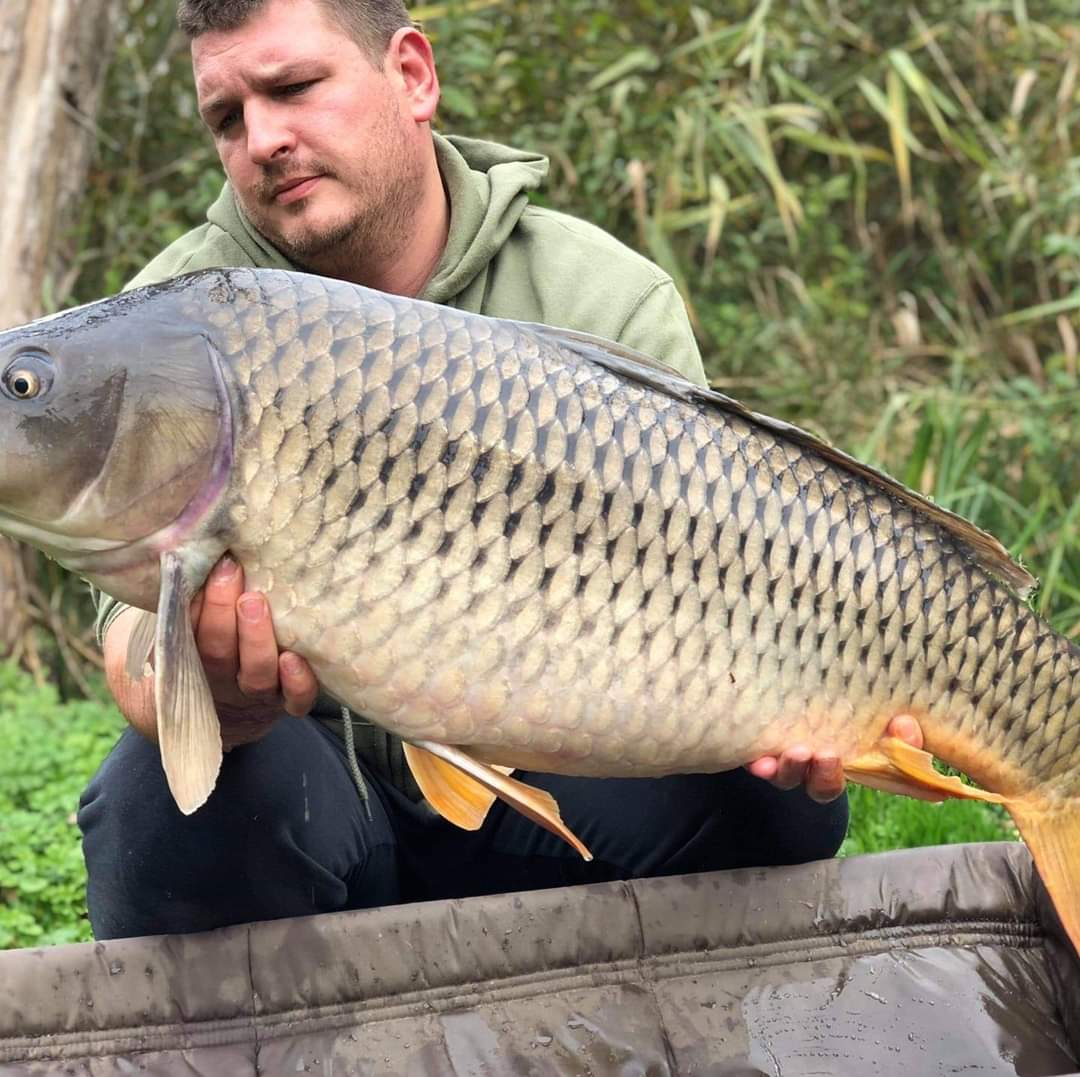 FB_IMG_1695497525463