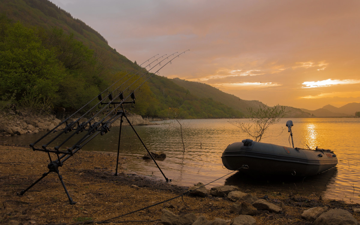 CarpDreams.sk