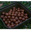 Trvanlivé boilies Nash Scopex Squid - 1kg 20mm