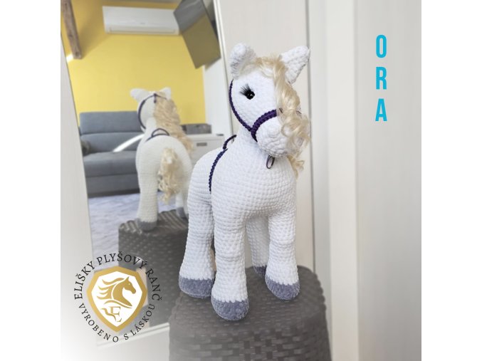 Ora konik01