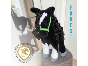 Forest konik01