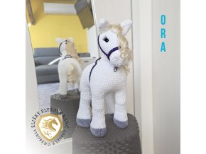 Ora konik01