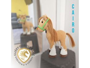 Cairo konik02