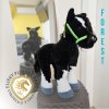 Forest konik02