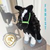 Forest konik01