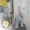 Filly konik02