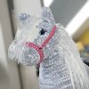 Filly konik03