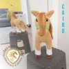 Cairo konik01