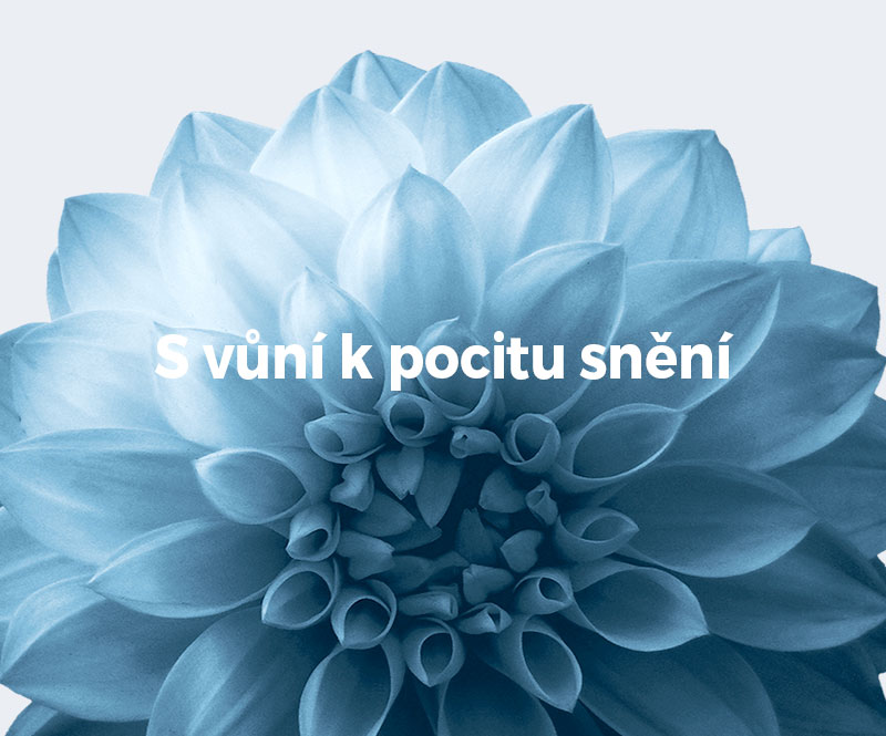 S vůní k pocitu snění
