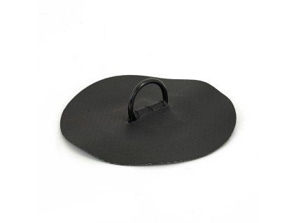 WEB 199 0050 200 Raptor D ring S Carbon V 01