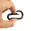 190 0041 100 Raptor Carabiner V 004