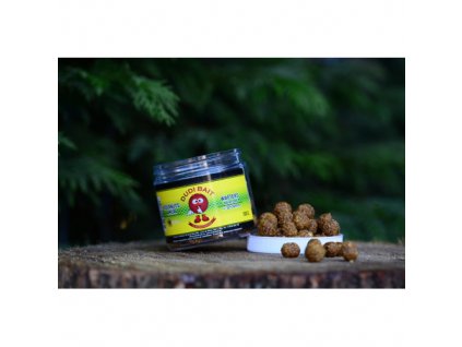 Wafters Dudi Bait Tigernuts-Amur 100g