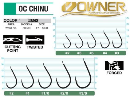 19087 owner hacik 50339 v 1 0