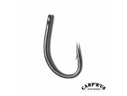 2110 carp r us hacik centurion 2000 ats vel 8