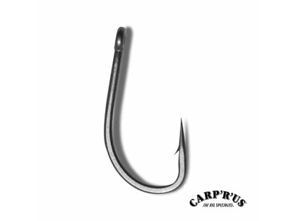 2113 carp r us hacik continental snag ats vel 2