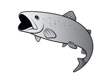25180 delphin nalepka pstruh strieborny