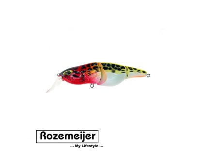 27613 rozemeijer wobler little templation 12cm 38g f 65181