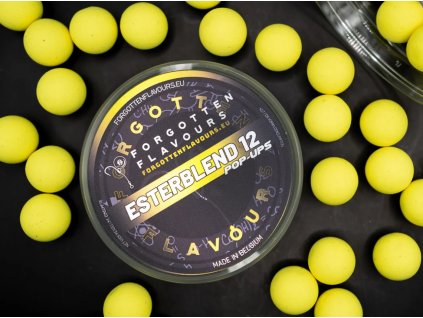 forgotten esterblend 12 pop up