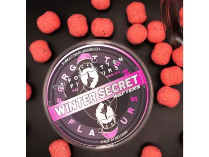 forgotten winter secret wafter