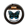 27865 pb products ghost butterfly 27lb 20m fluorocarbon