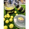 citron pomaranc pop up