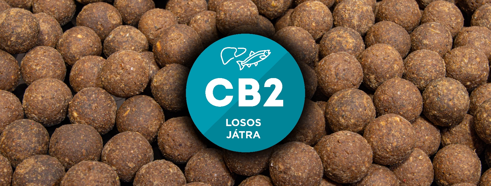CB2