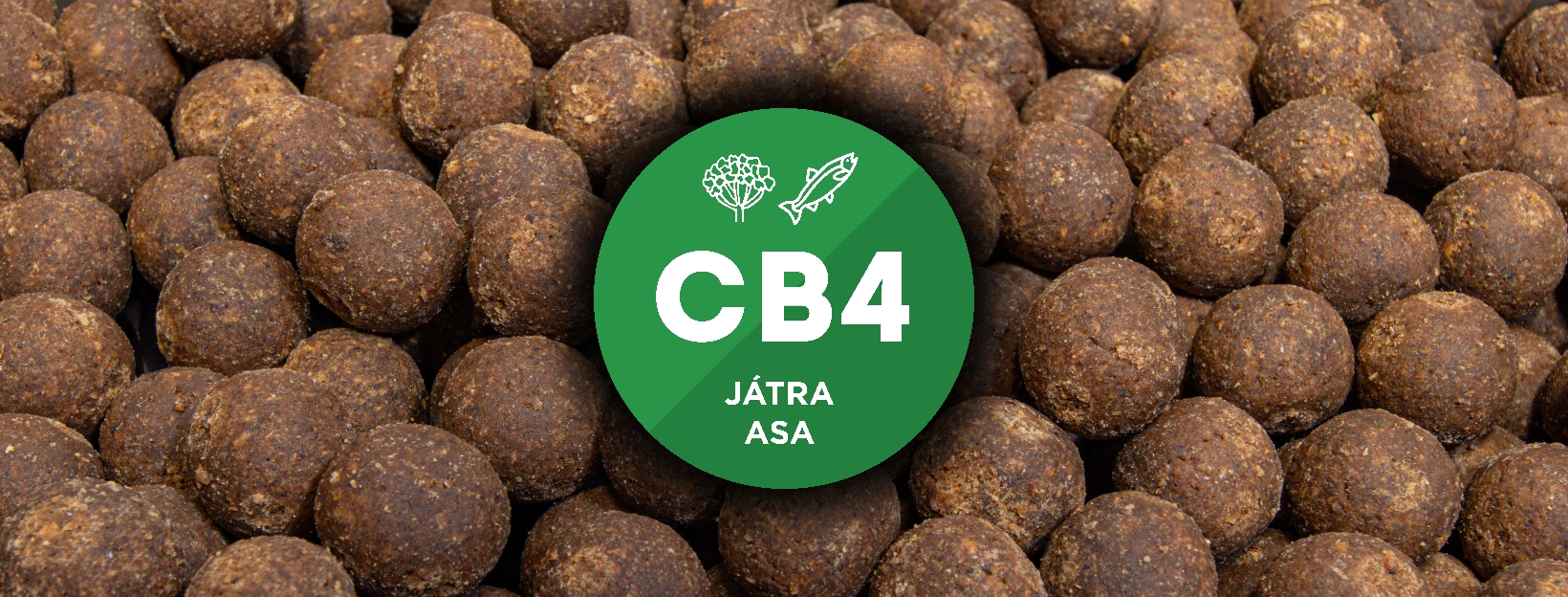 CB4