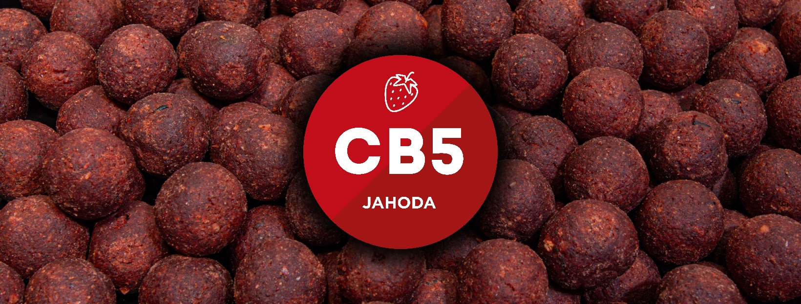 CB5