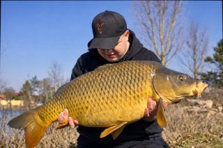 Jarní šupináč – 13 kg 🎣, který si zobnul #CB1 🦑 #carpsonbaits #boiliesztřebíče #kapřijenomkapři