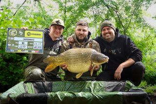 🇨🇿 CARPSONBAITS 🇨🇿 🐟 Peg 86 🐟 Poslední bodovaná ryba dnešního dne, ostatní kapříci už 10+ neměli 🍀🍀🍀 Držte nám palce 👍👍👍