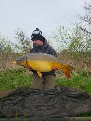 Krásný lysec pro Kubu 👌👌👌 #carpsonbaits #boiliesztřebíče #ONLY #kapřijenomkapři