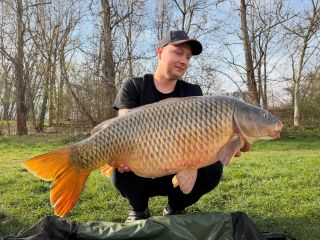 Další krásná ryba od Josefa 👌👌👌 #carpsonbaits #boiliesztřebíče #ONLY #kaprijenomkapri