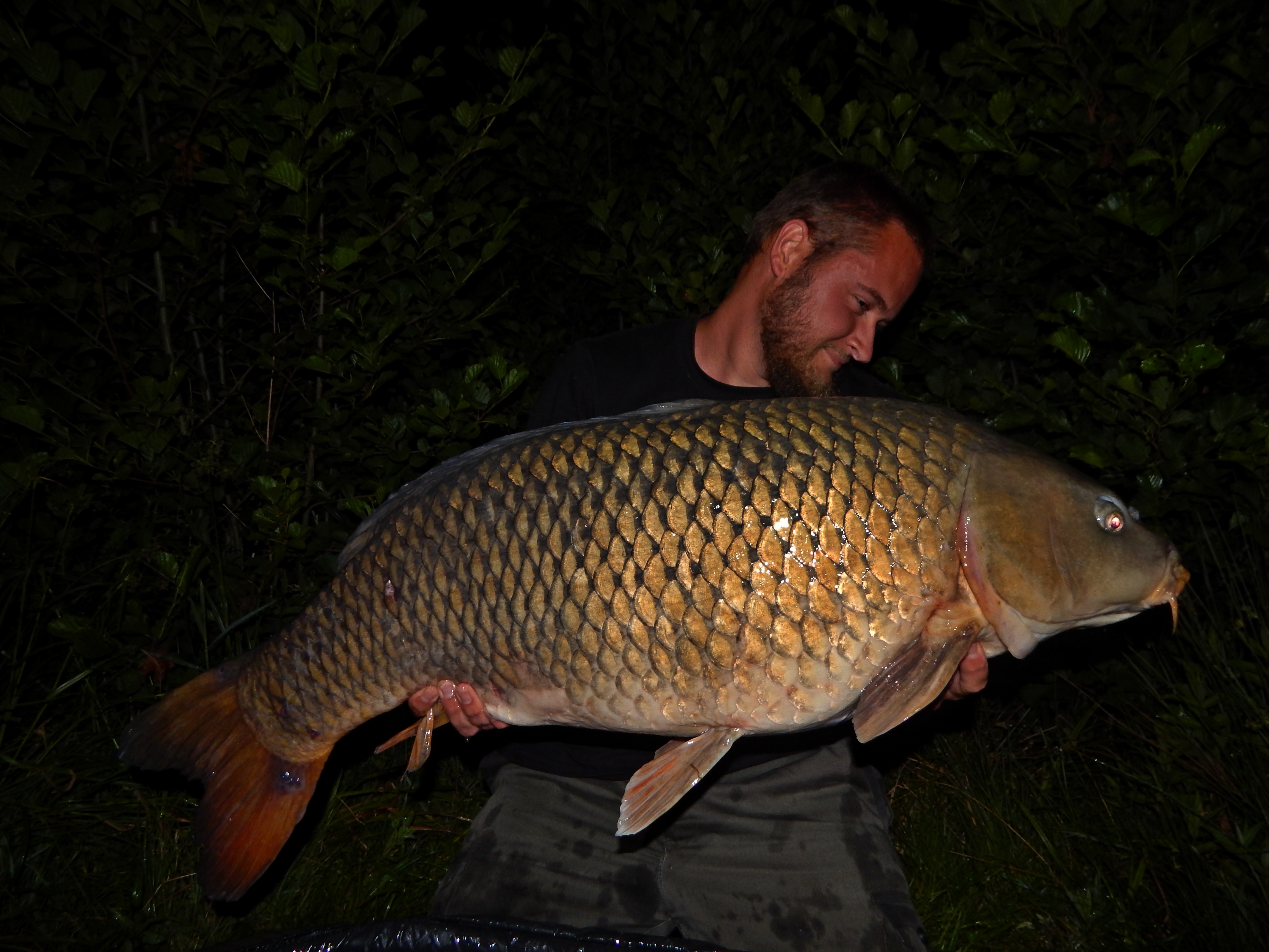 David „ Lundy “ Lundák