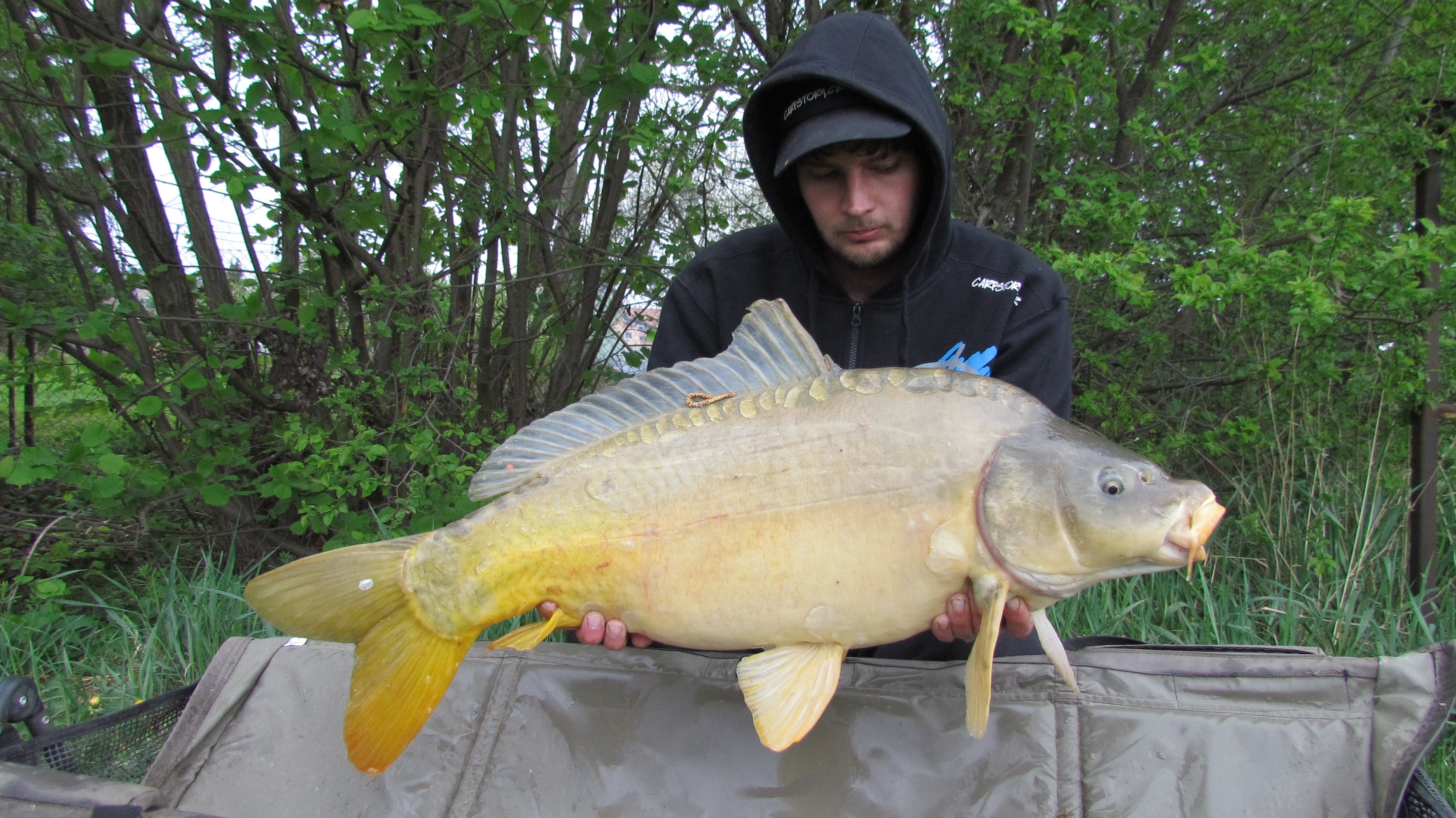 Jarní mix krmení v podání Dawe Svobody