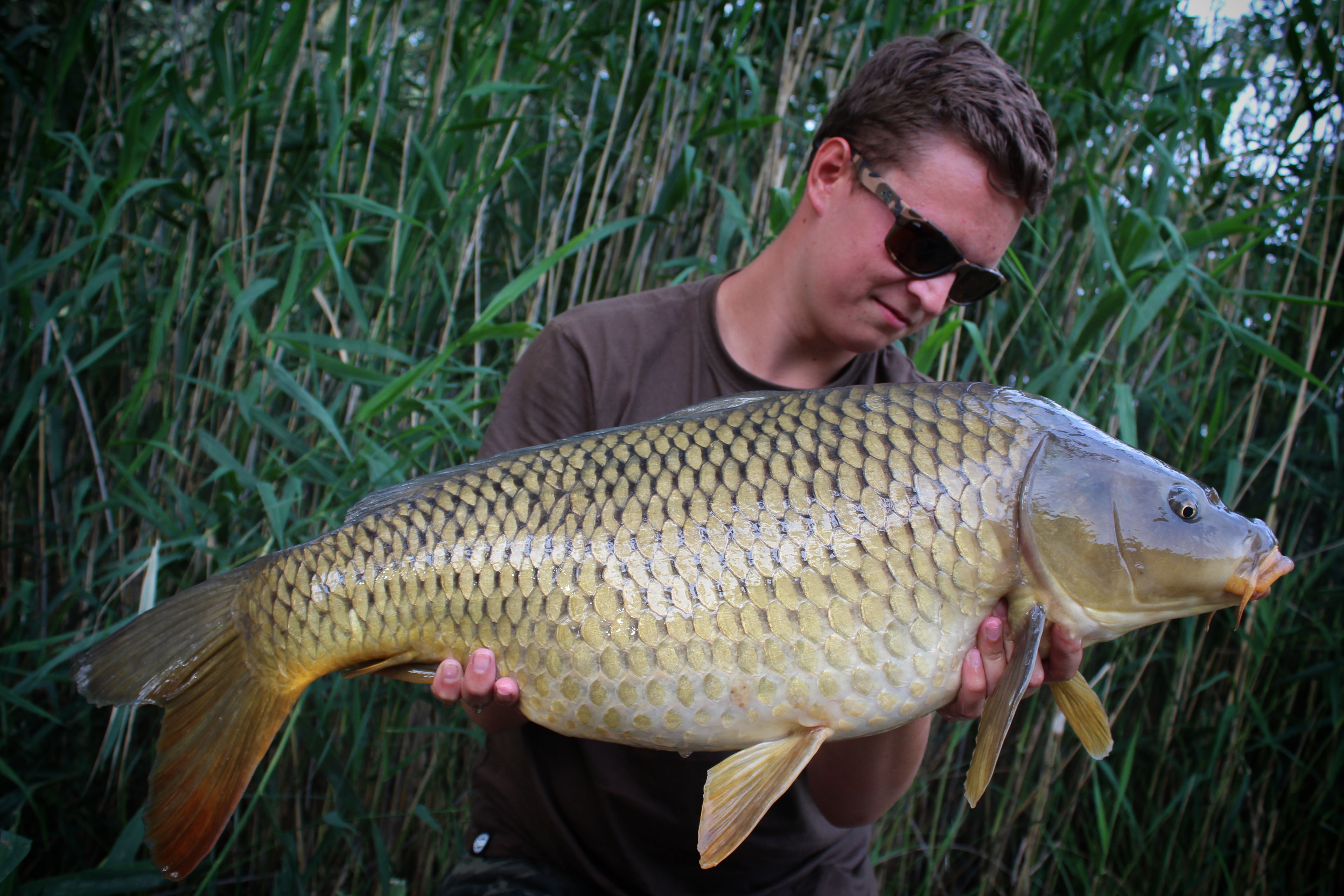 POKLADY Z MALÉ VODY