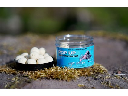 Pop Up Oliheň/Chobotnice/Pepř