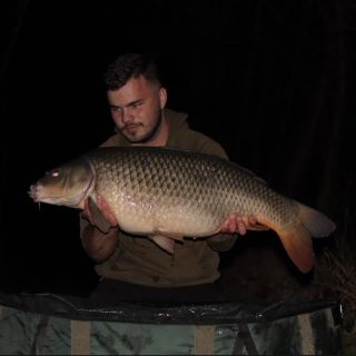 Warrior opět nezklamal a ja si mohl potěžkat jednoho z místních šupináčů. 🐟🤩 ➡️ https://www.carpstory.cz 💙Zažij s námi...