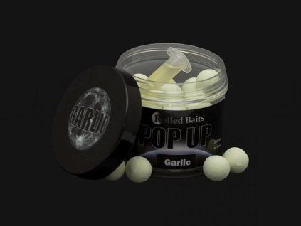 538 garlic pop up