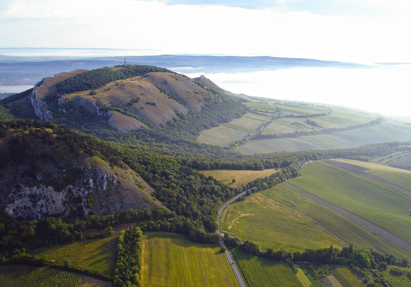 Mikulov, Lednice, Zaječí