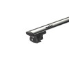 0013 wing (1)
